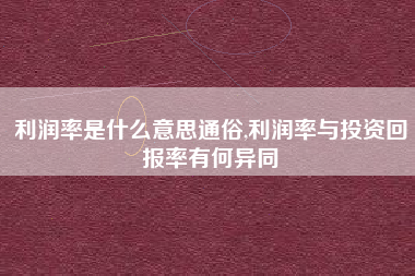 利润率是什么意思通俗,利润率与投资回报率有何异同