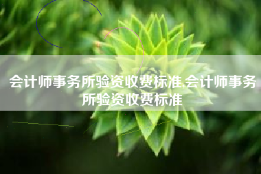 会计师事务所验资收费标准,会计师事务所验资收费标准