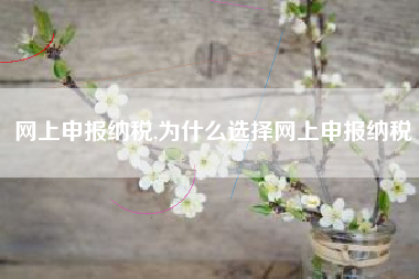 网上申报纳税,为什么选择网上申报纳税