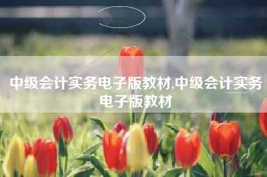 中级会计实务电子版教材,中级会计实务电子版教材