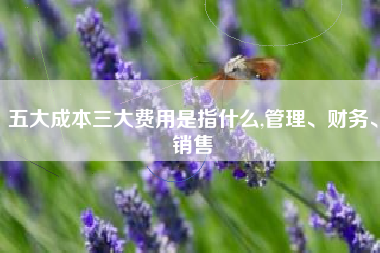 五大成本三大费用是指什么,管理、财务、销售
