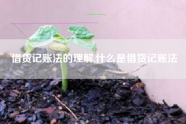 借贷记账法的理解,什么是借贷记账法