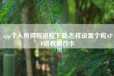 app个人所得税退税下载,怎样设置个税APP退税银行卡