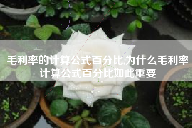毛利率的计算公式百分比,为什么毛利率计算公式百分比如此重要