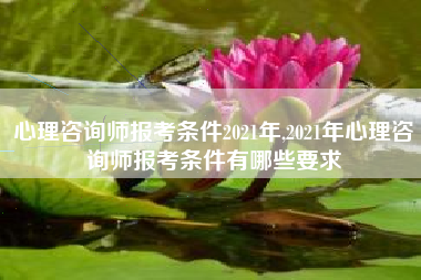 心理咨询师报考条件2021年,2021年心理咨询师报考条件有哪些要求