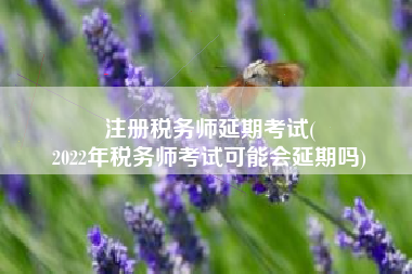 注册税务师延期考试(
2022年税务师考试可能会延期吗)