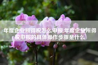 年度企业所得税怎么申报,年度企业所得税申报的具体操作步骤是什么