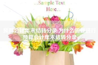 预算会计年末结转分录,为什么需要进行预算会计年末结转分录