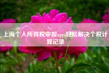 上海个人所得税申报app,轻松解决个税计算记录