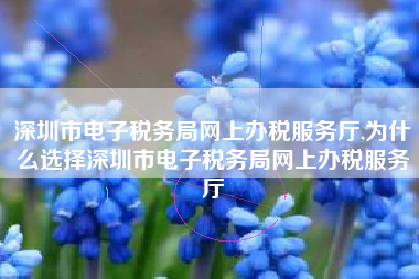 深圳市电子税务局网上办税服务厅,为什么选择深圳市电子税务局网上办税服务厅