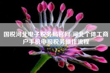国税河北电子税务局官网(河北个体工商户手机申报税务操作流程
)