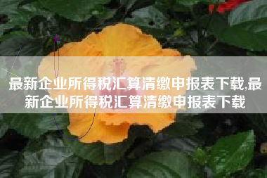 最新企业所得税汇算清缴申报表下载,最新企业所得税汇算清缴申报表下载