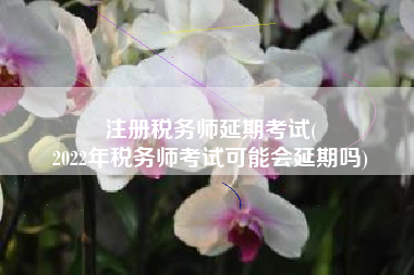 注册税务师延期考试(
2022年税务师考试可能会延期吗)