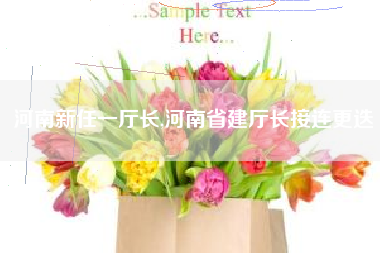 河南新任一厅长,河南省建厅长接连更迭