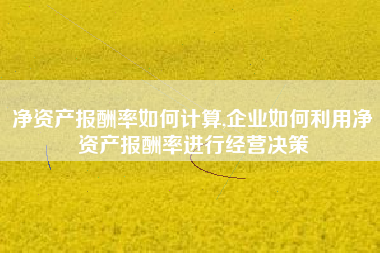 净资产报酬率如何计算,企业如何利用净资产报酬率进行经营决策