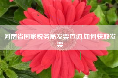 河南省国家税务局发票查询,如何获取发票
