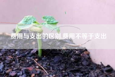 费用与支出的区别,费用不等于支出