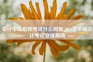 会计中级职称考试什么时候,2024年中级会计考试安排揭晓