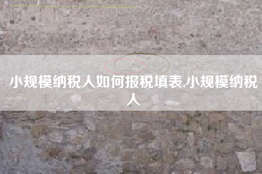 小规模纳税人如何报税填表,小规模纳税人