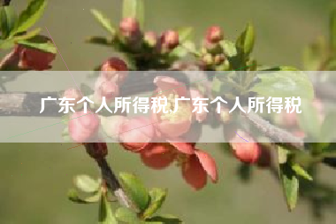 广东个人所得税,广东个人所得税