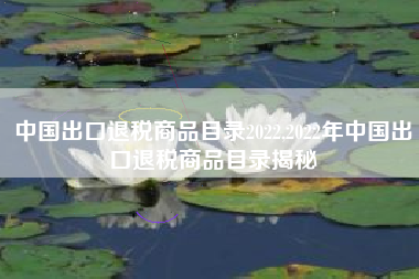 中国出口退税商品目录2022,2022年中国出口退税商品目录揭秘