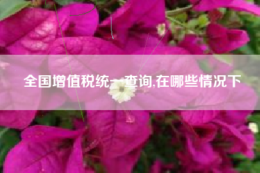 全国增值税统一查询,在哪些情况下