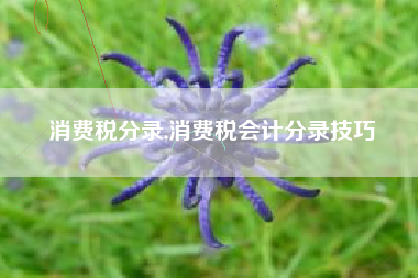 消费税分录,消费税会计分录技巧
