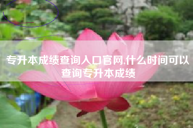 专升本成绩查询入口官网,什么时间可以查询专升本成绩