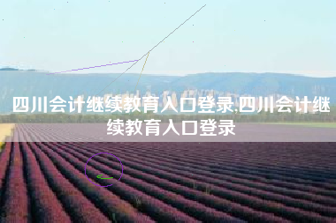 四川会计继续教育入口登录,四川会计继续教育入口登录