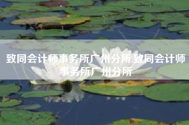 致同会计师事务所广州分所,致同会计师事务所广州分所