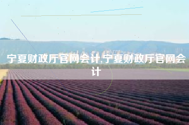 宁夏财政厅官网会计,宁夏财政厅官网会计