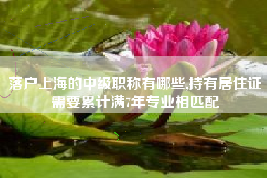 落户上海的中级职称有哪些,持有居住证需要累计满7年专业相匹配