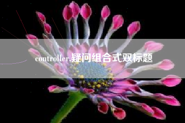 controller,疑问组合式双标题