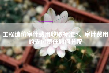 工程造价审计费用收取标准,2、审计费用的支付责任如何分配