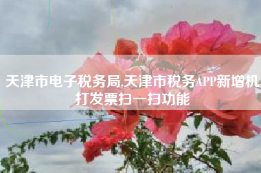 天津市电子税务局,天津市税务APP新增机打发票扫一扫功能