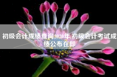 初级会计成绩查询2020年,初级会计考试成绩公布在即