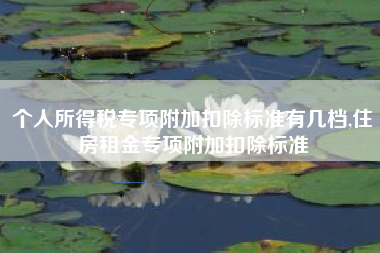 个人所得税专项附加扣除标准有几档,住房租金专项附加扣除标准