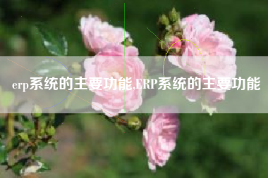 erp系统的主要功能,ERP系统的主要功能