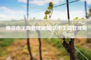 南京市工商管理局,南京市工商管理局