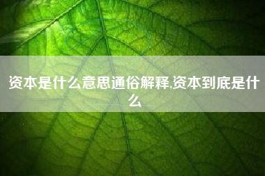 资本是什么意思通俗解释,资本到底是什么