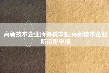 高新技术企业所得税申报,高新技术企业所得税申报