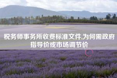 税务师事务所收费标准文件,为何需政府指导价或市场调节价