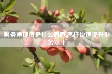 财务净现值是什么意思,怎样快速提升财务水平
