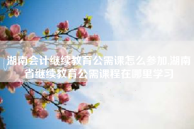 湖南会计继续教育公需课怎么参加,湖南省继续教育公需课程在哪里学习