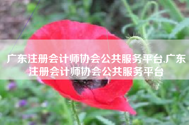 广东注册会计师协会公共服务平台,广东注册会计师协会公共服务平台