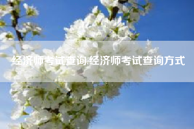 经济师考试查询,经济师考试查询方式