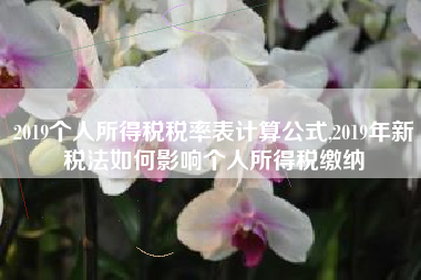 2019个人所得税税率表计算公式,2019年新税法如何影响个人所得税缴纳