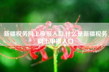 新疆税务网上申报入口,什么是新疆税务网上申报入口