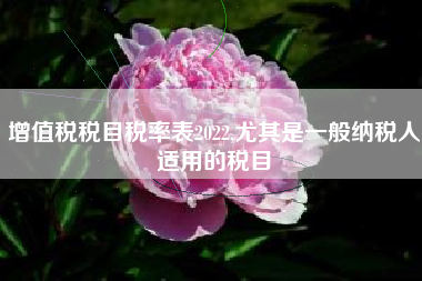 增值税税目税率表2022,尤其是一般纳税人适用的税目