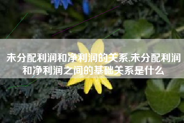 未分配利润和净利润的关系,未分配利润和净利润之间的基础关系是什么